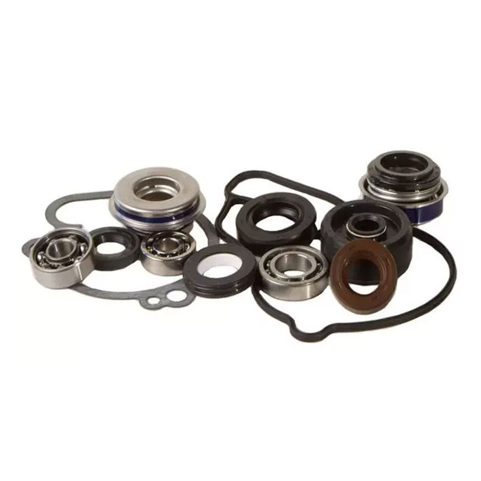Water Pump Kit e Kit Revisione Pompa.